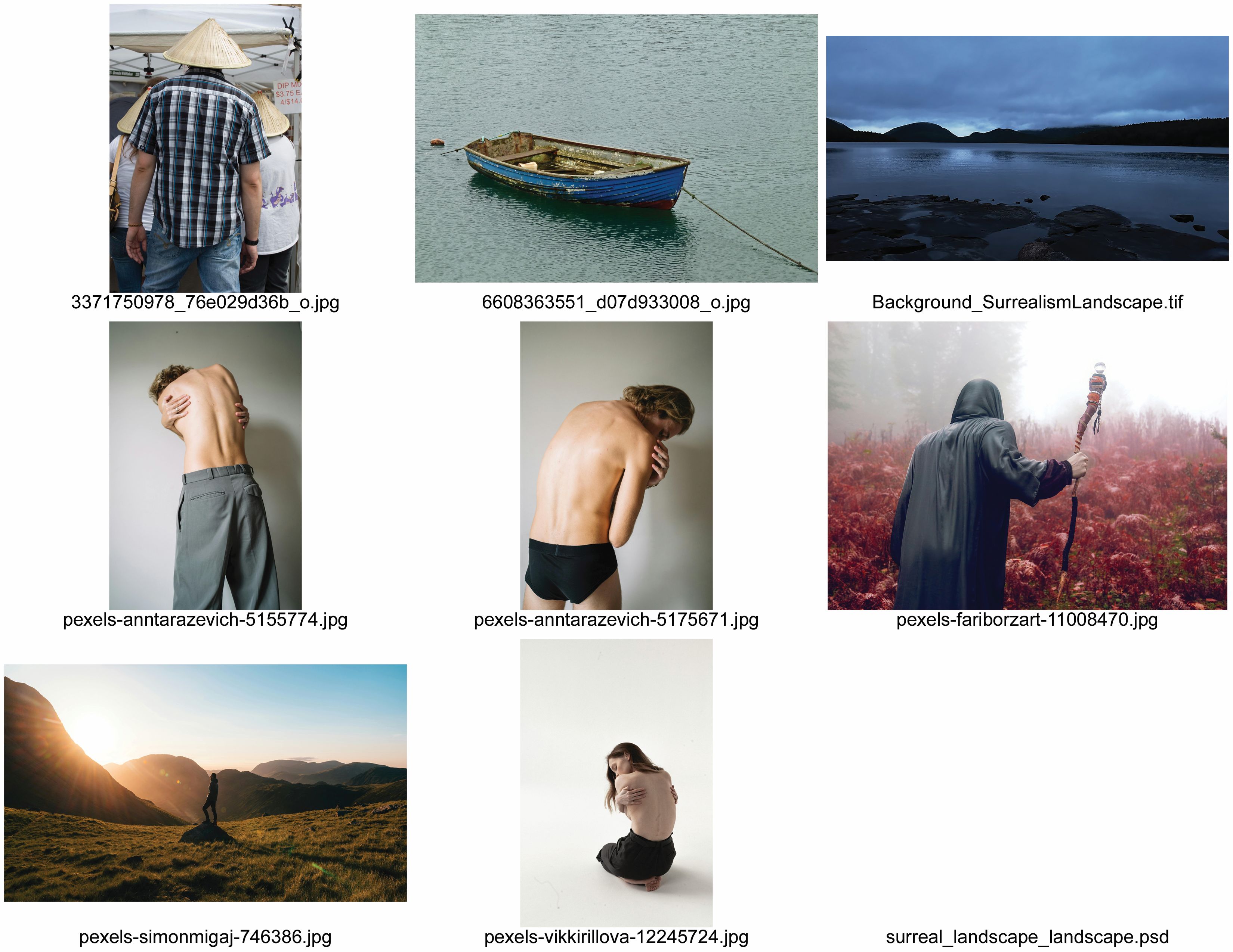 The photos used to create the surreal photoshopped image.