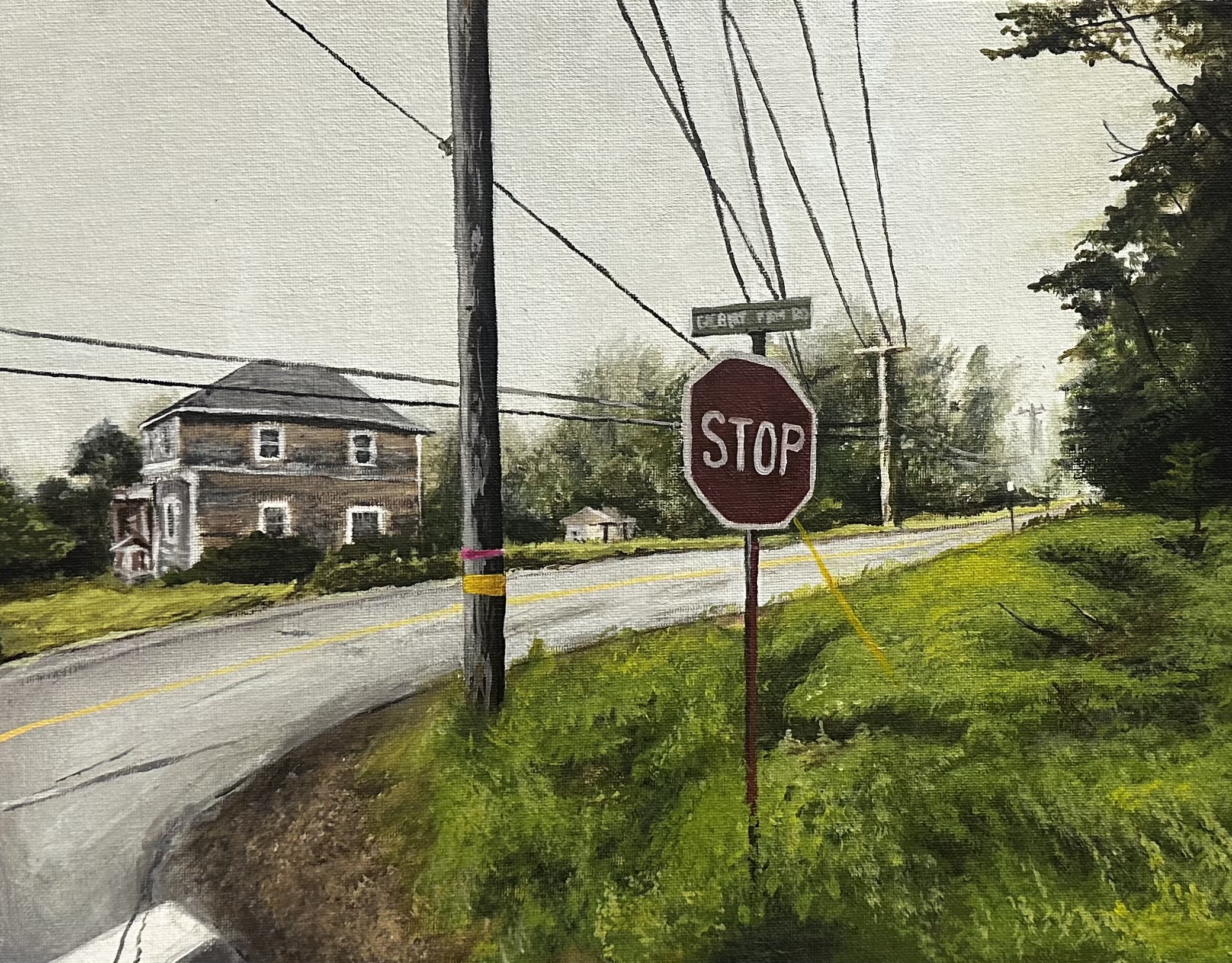 An acrylic painting of a lanscape during the day. A house, stopsign, shed, and powerlines are visible as well as lots of greenery.